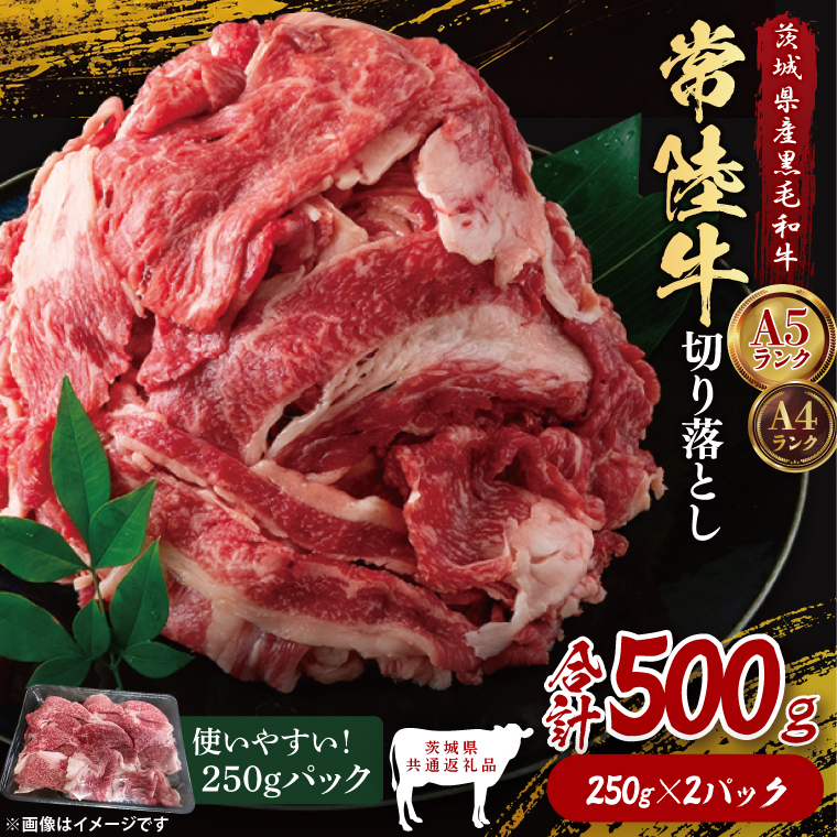 【茨城県共通返礼品】常陸牛切り落とし500g（250g×2）｜ブランド牛 銘柄牛 和牛 黒毛和牛 国産 A5・A4ランク 等級 お肉 牛肉 牛丼 すき焼き 炒め物 小分け 茨城県 大子町（DD006）
