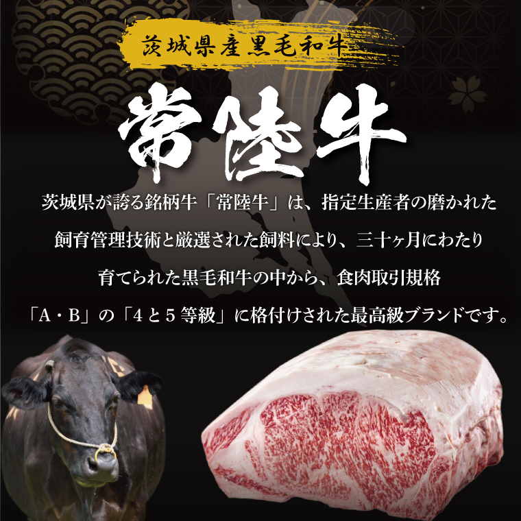 【茨城県共通返礼品】常陸牛切り落とし500g（250g×2）｜ブランド牛 銘柄牛 和牛 黒毛和牛 国産 A5・A4ランク 等級 お肉 牛肉 牛丼 すき焼き 炒め物 小分け 茨城県 大子町（DD006）