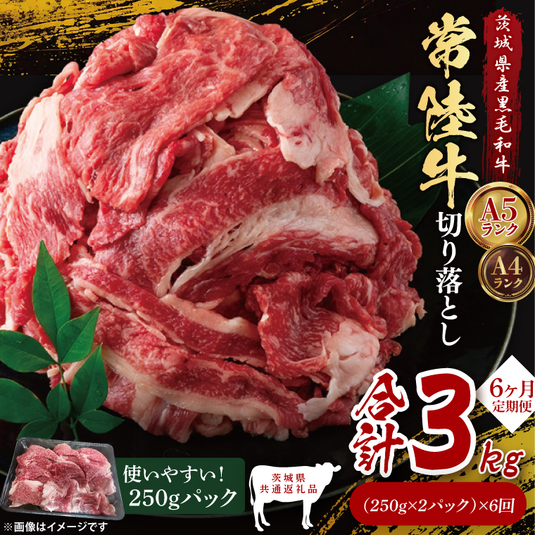 【茨城県共通返礼品】【6ヶ月定期便】常陸牛切り落とし500g（250g×2）｜ブランド牛 銘柄牛 和牛 黒毛和牛 国産 A5・A4ランク 等級 お肉 牛肉 牛丼 すき焼き 炒め物 小分け 定期 6回 毎月 茨城県 大子町（DD008）