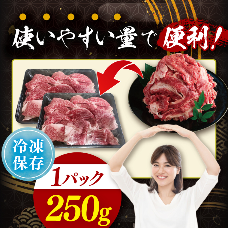 【茨城県共通返礼品】【6ヶ月定期便】常陸牛切り落とし500g（250g×2）｜ブランド牛 銘柄牛 和牛 黒毛和牛 国産 A5・A4ランク 等級 お肉 牛肉 牛丼 すき焼き 炒め物 小分け 定期 6回 毎月 茨城県 大子町（DD008）