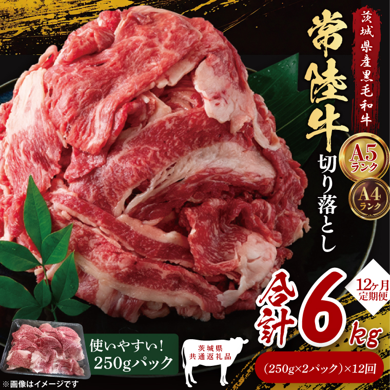 【茨城県共通返礼品】【12ヶ月定期便】常陸牛切り落とし500g（250g×2）｜ブランド牛 銘柄牛 和牛 黒毛和牛 国産 A5・A4ランク 等級 お肉 牛肉 牛丼 すき焼き 炒め物 小分け 定期 12回 毎月 茨城県 大子町（DD009）