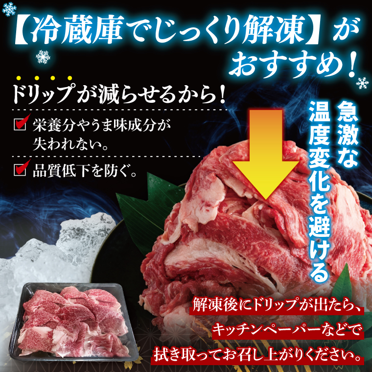 【茨城県共通返礼品】【12ヶ月定期便】常陸牛切り落とし500g（250g×2）｜ブランド牛 銘柄牛 和牛 黒毛和牛 国産 A5・A4ランク 等級 お肉 牛肉 牛丼 すき焼き 炒め物 小分け 定期 12回 毎月 茨城県 大子町（DD009）