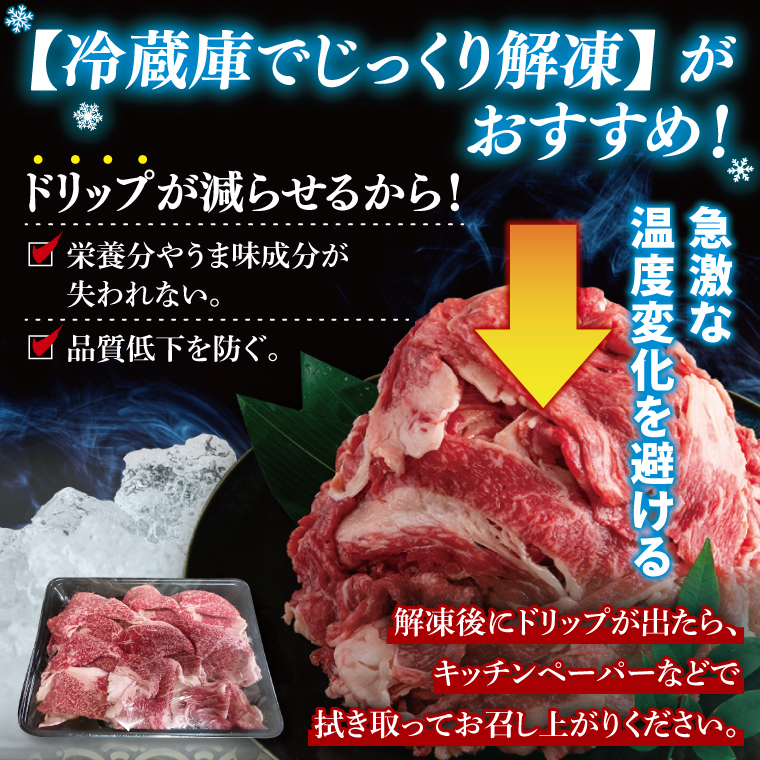 【茨城県共通返礼品】【3ヶ月定期便】常陸牛切り落とし1kg（500g×2）｜ブランド牛 銘柄牛 和牛 黒毛和牛 国産 A5・A4ランク 等級 お肉 牛肉 牛丼 すき焼き 炒め物 小分け 定期 3回 毎月 茨城県 大子町（DD011）