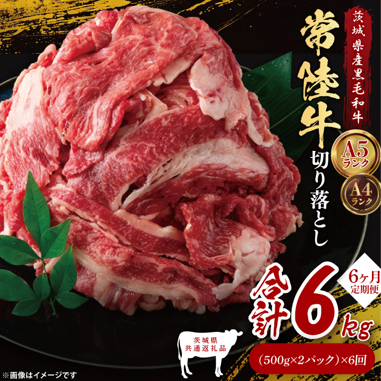 【茨城県共通返礼品】【6ヶ月定期便】常陸牛切り落とし1kg（500g×2）｜ブランド牛 銘柄牛 和牛 黒毛和牛 国産 A5・A4ランク 等級 お肉 牛肉 牛丼 すき焼き 炒め物 小分け 定期 6回 毎月 茨城県 大子町（DD012）