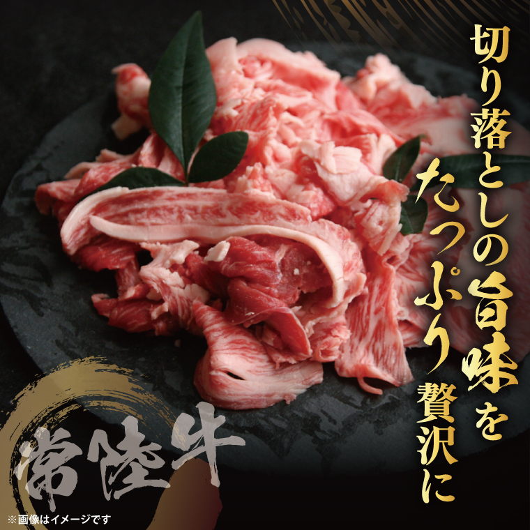 【茨城県共通返礼品】常陸牛切り落とし3kg（500g×6）｜ブランド牛 銘柄牛 和牛 黒毛和牛 国産 A5・A4ランク 等級 お肉 牛肉 牛丼 すき焼き 炒め物 小分け 茨城県 大子町（DD015）