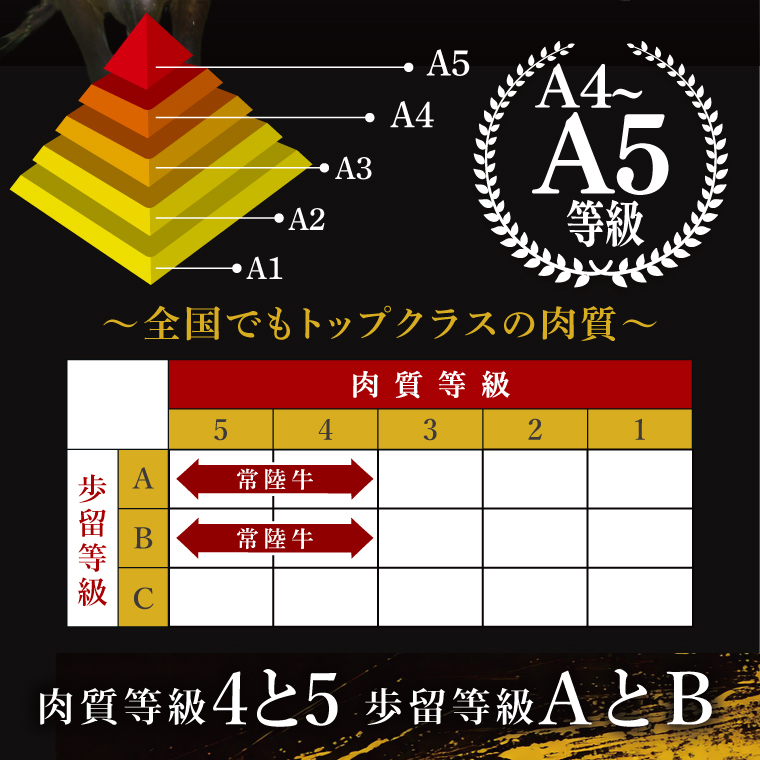 【茨城県共通返礼品】常陸牛切り落とし3kg（500g×6）｜ブランド牛 銘柄牛 和牛 黒毛和牛 国産 A5・A4ランク 等級 お肉 牛肉 牛丼 すき焼き 炒め物 小分け 茨城県 大子町（DD015）