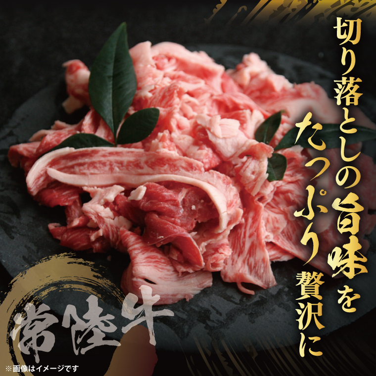 【茨城県共通返礼品】【真空パック】常陸牛切り落とし800g（200g×4）｜ブランド牛 銘柄牛 和牛 黒毛和牛 国産 A5・A4ランク 等級 お肉 牛肉 牛丼 すき焼き 炒め物 小分け 茨城県 大子町（DD016）