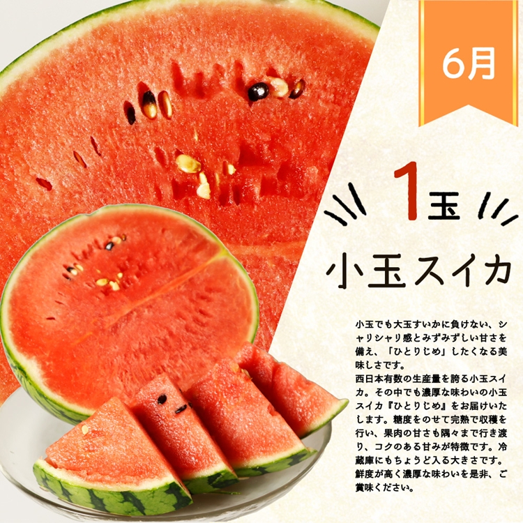 〈定期便〉【6・8・10月 全3回】紀州和歌山産旬のフルーツセット(スイカ・桃・ひらたね柿)