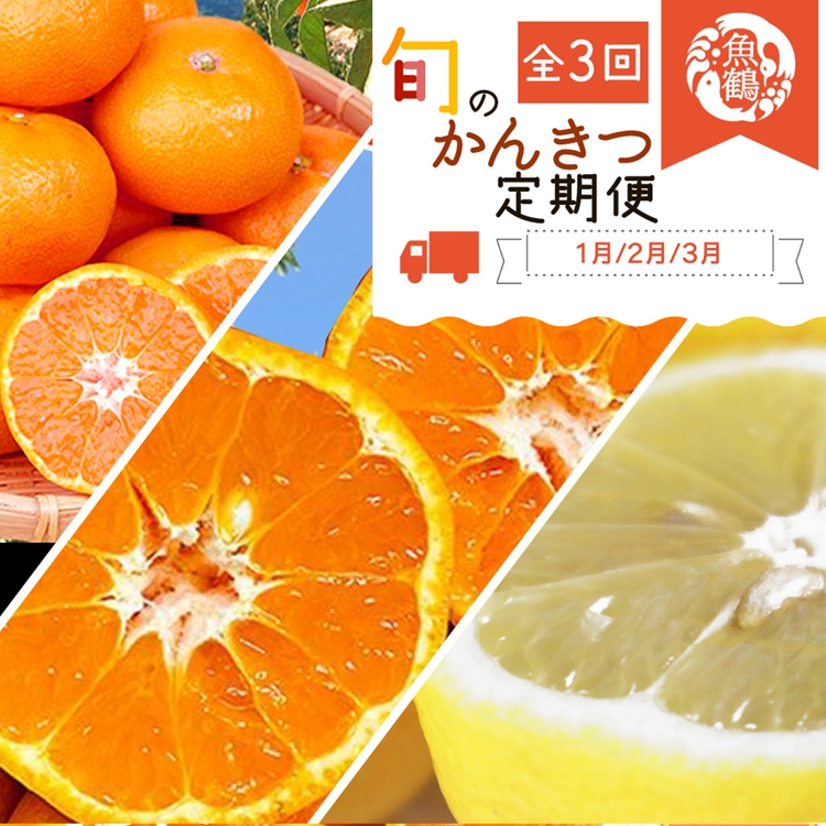 【和歌山県美浜町】〈定期便〉【1・2・3月 全3回】紀州和歌山産旬のフルーツセット(みかん・不知火・レモン)