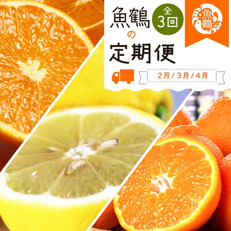 〈定期便〉【2・3・4月 全3回】紀州和歌山産旬の柑橘セット(不知火・レモン・清見)