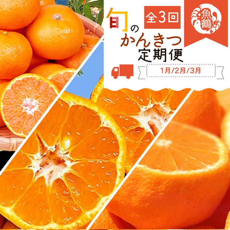 【和歌山県美浜町】〈定期便〉【1・2・3月 全3回】紀州和歌山産旬のフルーツセット(みかん・不知火・せとか)