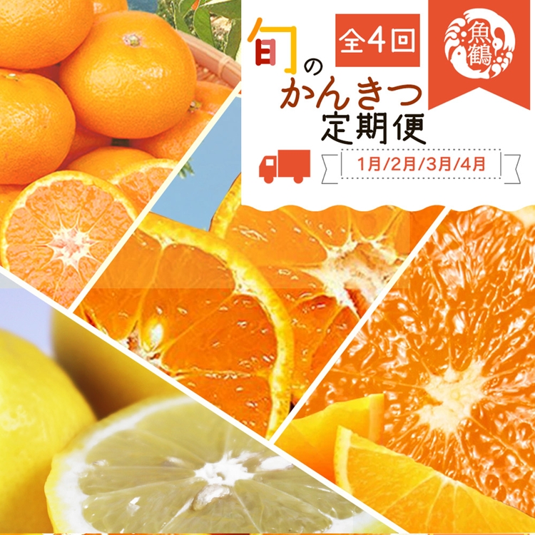 〈定期便〉【1・2・3・4月 全4回】紀州和歌山産旬のフルーツセット(みかん・不知火・レモン・清見)