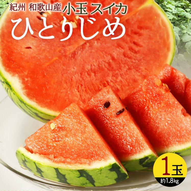 〈定期便〉【2・4・6・8・10・12月 全6回】紀州和歌山産旬のフルーツセット(不知火・清見・スイカ・桃・柿・みかん)