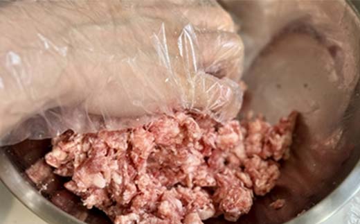 お米とジビエのPIZZA 3枚セット ピザ ぴざ イノシシ肉 イタリアン グルテンフリー F6P-2915