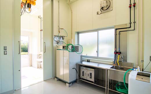 お米とジビエのPIZZA 3枚セット ピザ ぴざ イノシシ肉 イタリアン グルテンフリー F6P-2915