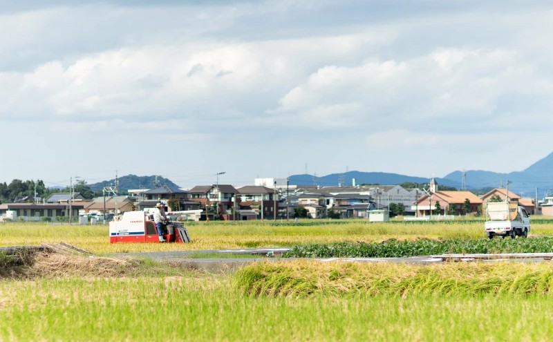 定期便 3回 【ポスト投函】とろける食感 有明のり 佃煮 食べきりサイズ 12食 海苔 ごはんのお供 3ヶ月 福岡県