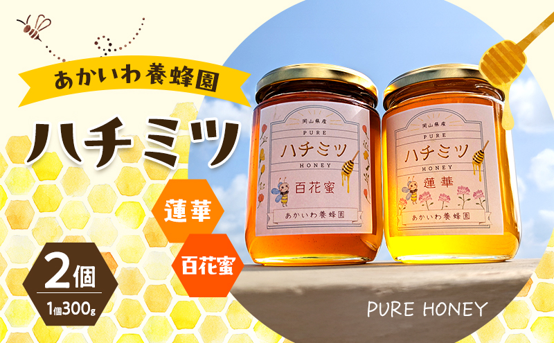 yRԔ֎sz݂͂ @ؖI SԖI 300g e1 v2 n`~c I  SԖ VR M R Ԕ֎s