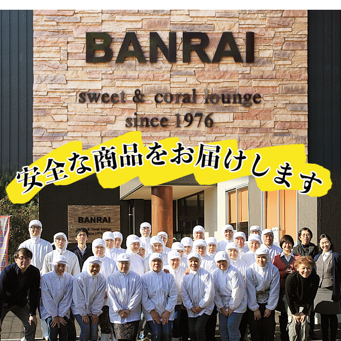 鹿児島県志布志市のふるさと納税 スティックタイプの大学芋♪薩摩おいも棒セット 計2.25kg(250g×9袋) a2-077