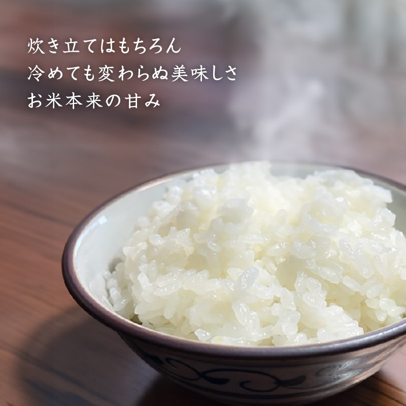 【3か月定期便】令和7年産新米　魚沼産コシヒカリ 精米10kg×3回　計30kg　米 コメ こしひかり 精米 ブランド米 お取り寄せ 十日町市