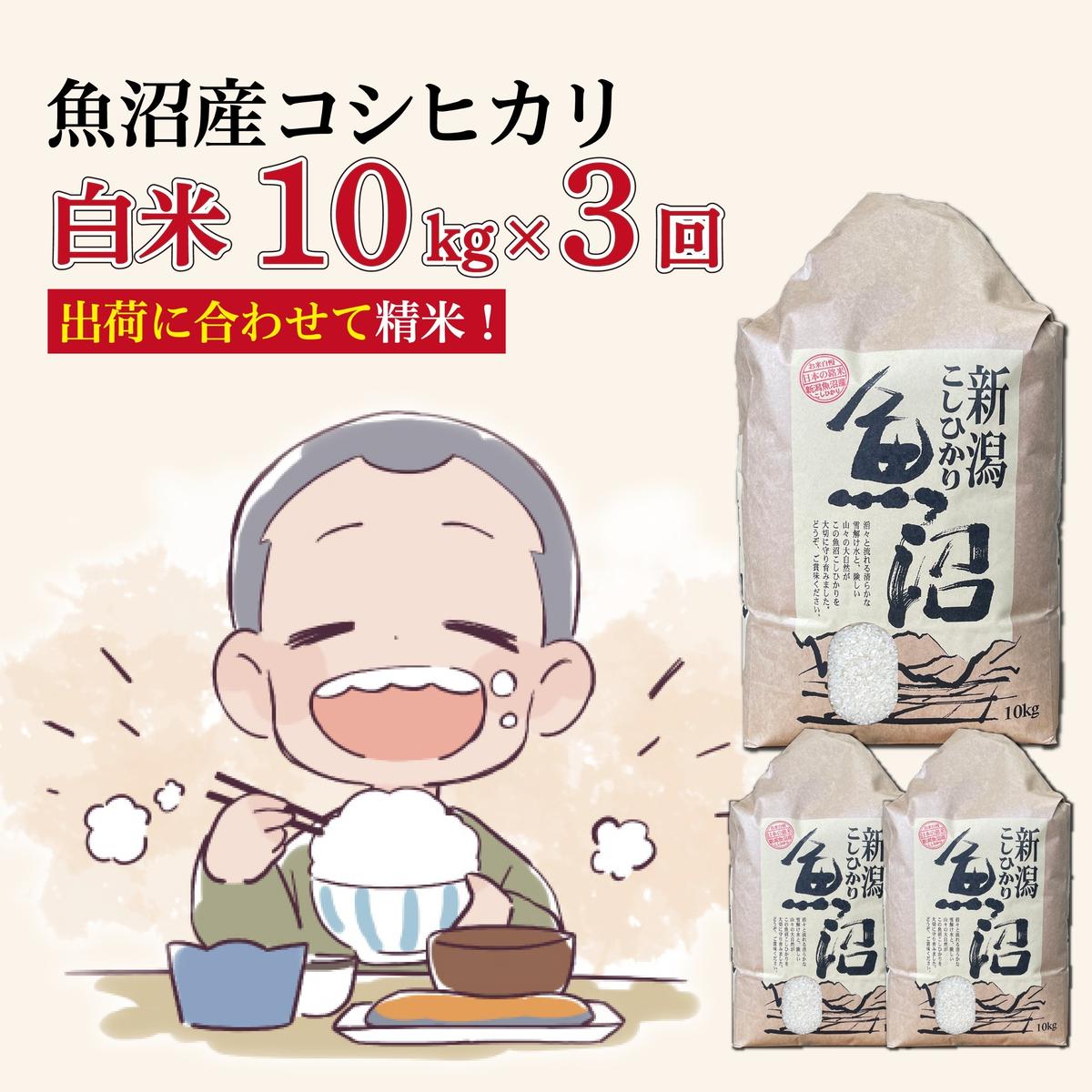 【3か月定期便】令和7年産新米　魚沼産コシヒカリ 精米10kg×3回　計30kg　米 コメ こしひかり 精米 ブランド米 お取り寄せ 十日町市