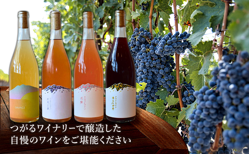 平日 つがる富士見荘宿泊券 ：［2名:1泊2食・展望和室] つがるワイナリー おすすめワイン1本付き