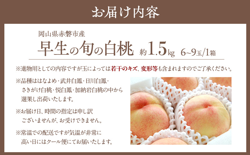 桃 2026年 先行予約 早生の旬の 白桃 約1.5kg 6～9玉 進物用 もも モモ フルーツ 果物 岡山 赤磐市産 農マル園芸 あかいわ農園