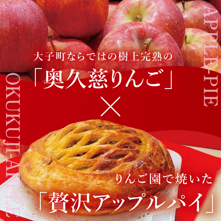 【藤田観光りんご園】奥久慈りんご2kg＆贅沢アップルパイ（ホールサイズ）セット｜茨城県 大子町 林檎 フルーツ 果物 旬 秋 季節限定 数量限定 お菓子 焼菓子 ケーキ おやつ デザート スイーツ(BJ010)