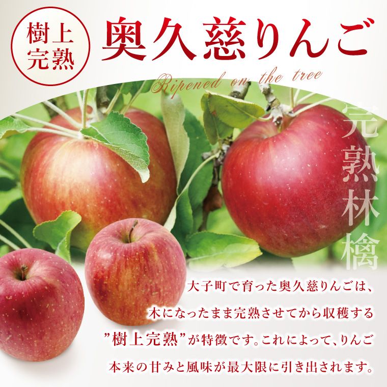 【藤田観光りんご園】奥久慈りんご2kg＆贅沢アップルパイ（ホールサイズ）セット｜茨城県 大子町 林檎 フルーツ 果物 旬 秋 季節限定 数量限定 お菓子 焼菓子 ケーキ おやつ デザート スイーツ(BJ010)