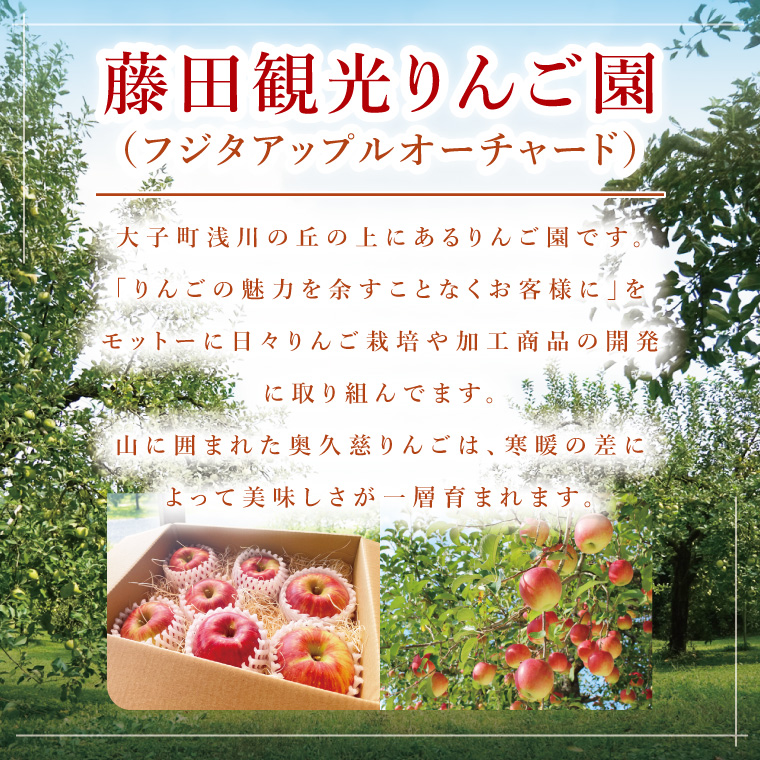 【藤田観光りんご園】奥久慈りんご2kg＆贅沢アップルパイ（ホールサイズ）セット｜茨城県 大子町 林檎 フルーツ 果物 旬 秋 季節限定 数量限定 お菓子 焼菓子 ケーキ おやつ デザート スイーツ(BJ010)