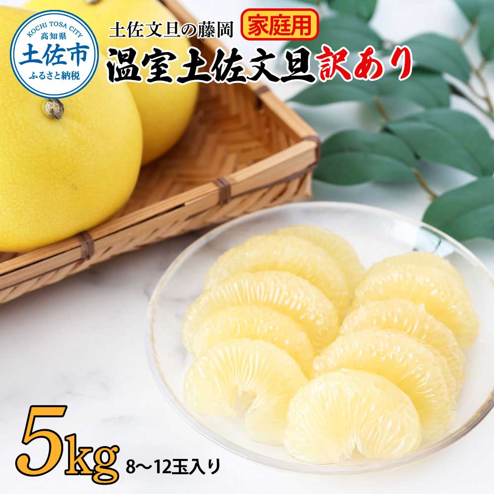 【高知県土佐市】<土佐文旦の藤岡>訳あり 温室土佐文旦 家庭用 5kg (8〜12玉)文旦 ぶんたん ブンタン 土佐文旦 ハウス栽培 甘い 柑橘 フルーツ 果物 ご当地 産地直送 お取り寄せ 5キロ 自分用 土佐 高知
