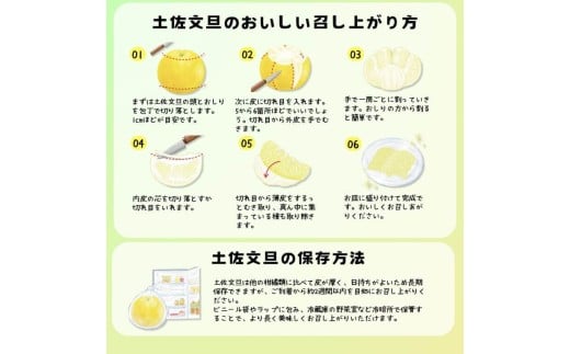 ＜土佐文旦の藤岡＞訳あり 温室土佐文旦 家庭用 5kg (8～12玉）文旦 ぶんたん ブンタン 土佐文旦 ハウス栽培 甘い 柑橘 フルーツ 果物 ご当地 産地直送 お取り寄せ 5キロ 自分用 土佐 高知