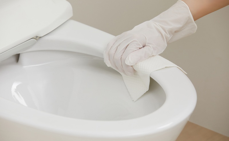 【20枚入り×12個】トルクリーン トイレクリーナー厚手 T-TA20 20枚入り（10枚×2個） トイレ掃除シート 20枚 除菌 抗菌 丈夫 重曹 黄ばみ 汚れ 凹凸エンボス トイレクリーナーシート 使い捨て 流せる 掃除シート アイリスオーヤマ