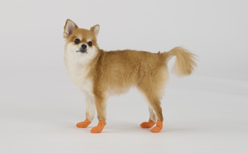 ペット用防災セット犬用 15点セット PBSI-15 防災 防災グッズ 防災セット 犬用 15点 防災用品 避難用品 避難 避難グッズ 災害 ショルダーバッグ トイレ 防臭袋 ペットシーツ 食器 タオル ネームタグ 首輪 持ち運び 防災バッグ アイリスオーヤマ