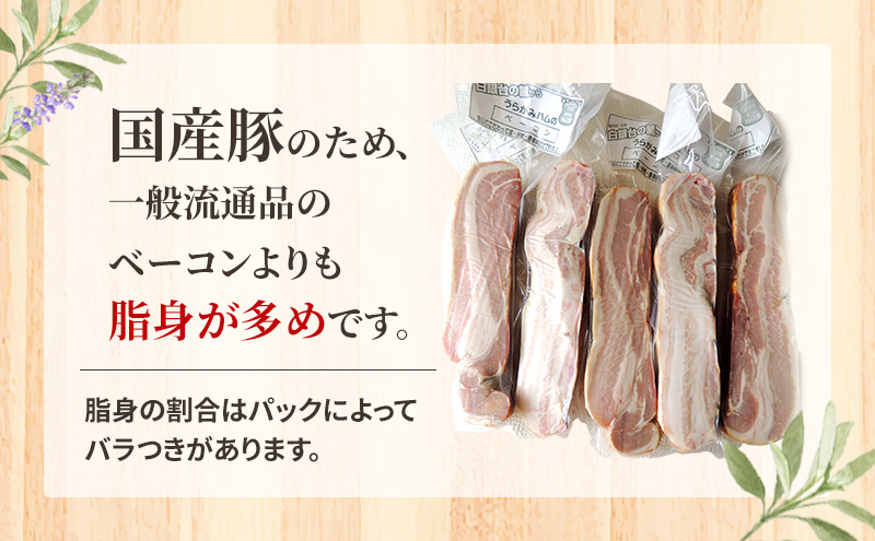 定期便 全3回 / 十勝の無添加豚 ベーコンブロック900g 計2.7kg［うらがみミート］ 無塩せき 保存料・結着剤不使用【 ベーコン 肉 豚 国産 惣菜 おつまみ 料理 燻製 加工品 北海道 十勝 幕別 】