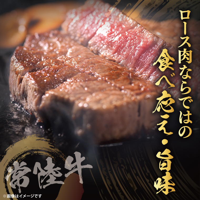 【茨城県共通返礼品】常陸牛ロースステーキ500g（250g×2）｜ブランド牛 銘柄牛 和牛 黒毛和牛 国産 A5・A4ランク 等級 お肉 牛肉 ステーキ ロース 茨城県 大子町（DD001）