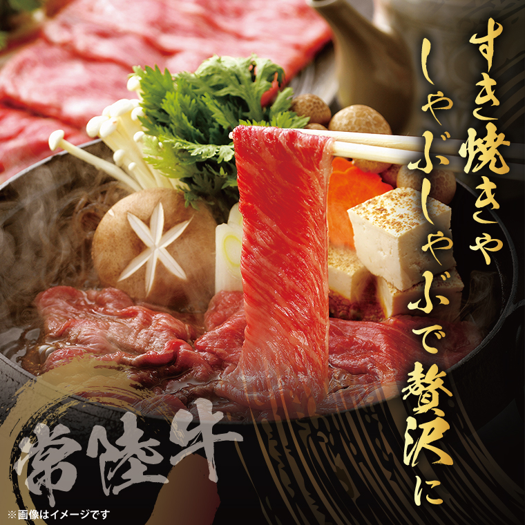 【茨城県共通返礼品】常陸牛ローススライス500g｜ブランド牛 銘柄牛 和牛 黒毛和牛 国産 A5・A4ランク 等級 お肉 牛肉 スライス ロース 茨城県 大子町（DD002）