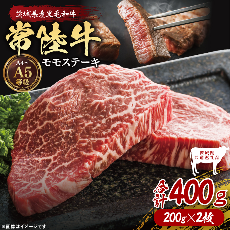 y錧qzy錧ʕԗiz헤Xe[L400gi200g×2jy錧ʕԗizbuh  a јa Y A5EA4N    Xe[L   錧 qiDD004j