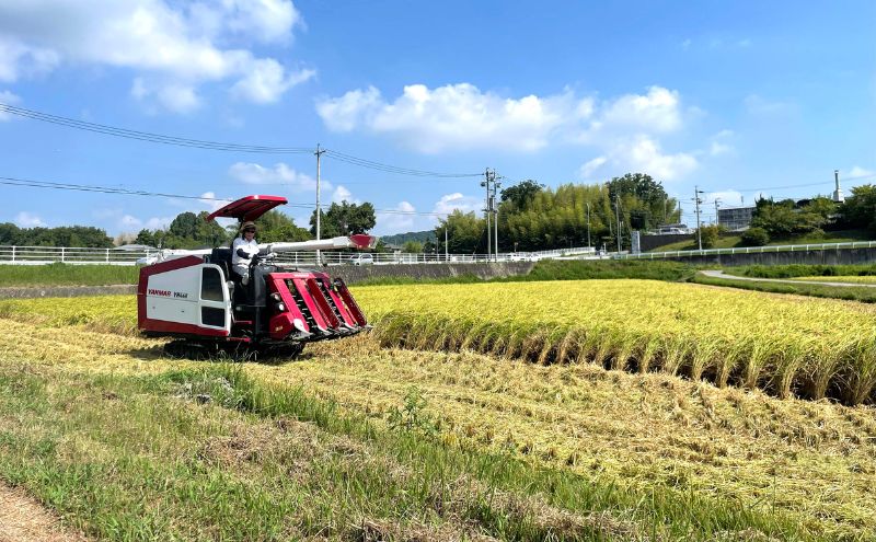 数量限定！地元で人気農家の 令和7年産 伊賀米 コシヒカリ 精米 30kg 3年連続 特A 米 新米 こしひかり ご飯 ごはん 白米 精米 三重県 名張市