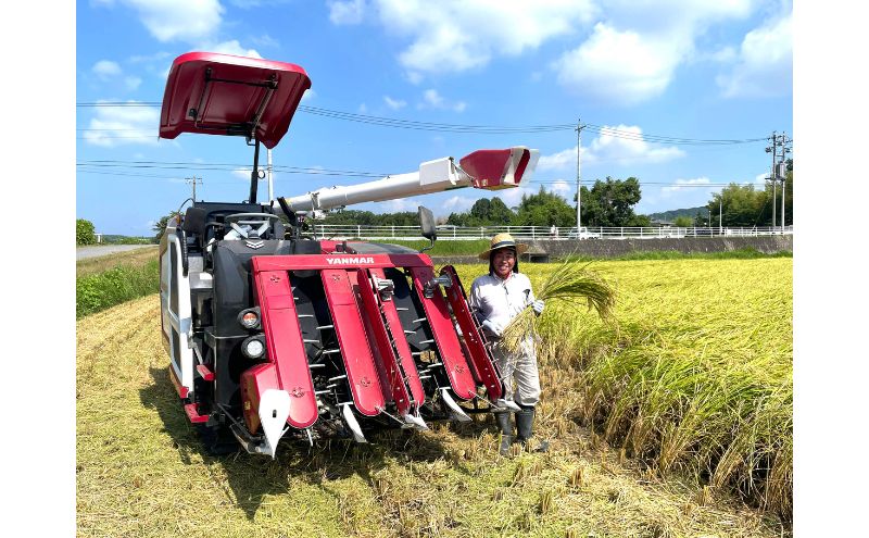 数量限定！地元で人気農家の 令和7年産 伊賀米 コシヒカリ 精米 30kg 3年連続 特A 米 新米 こしひかり ご飯 ごはん 白米 精米 三重県 名張市