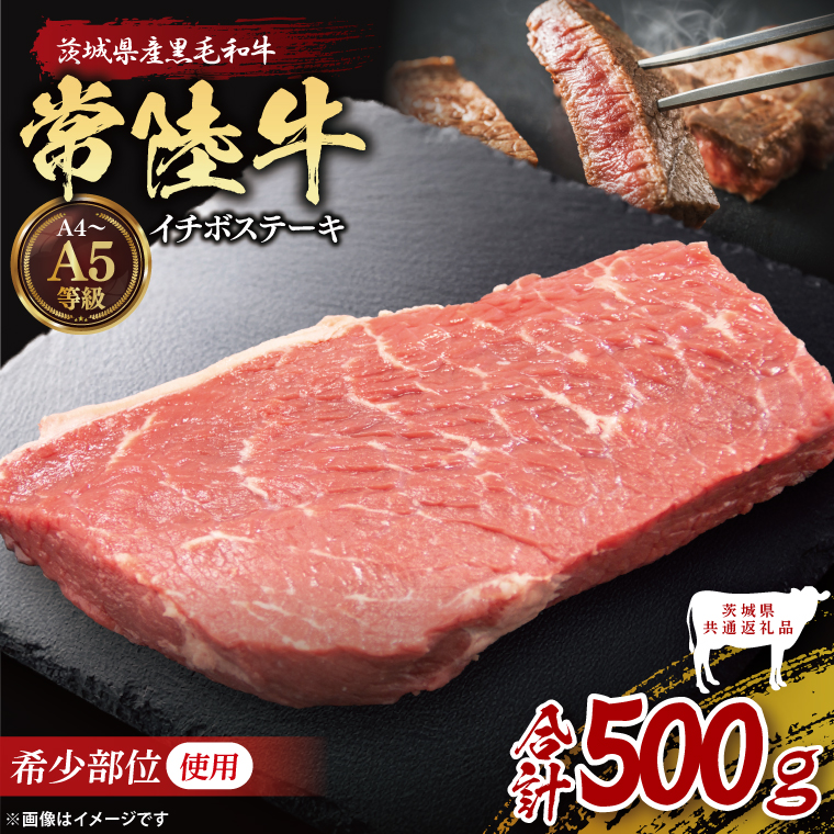 y錧qzy錧ʕԗizō헤 󏭕 C`{Xe[L  500gbuh  a јa Y A5EA4N    Xe[L 錧 qiDD019j