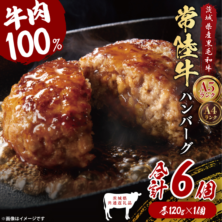【茨城県共通返礼品】常陸牛100％ ハンバーグ 120g×6個｜ブランド牛 銘柄牛 和牛 黒毛和牛 国産 A5・A4ランク 等級 お肉 牛肉 真空 小分け 個包装 茨城県 大子町（DD020）