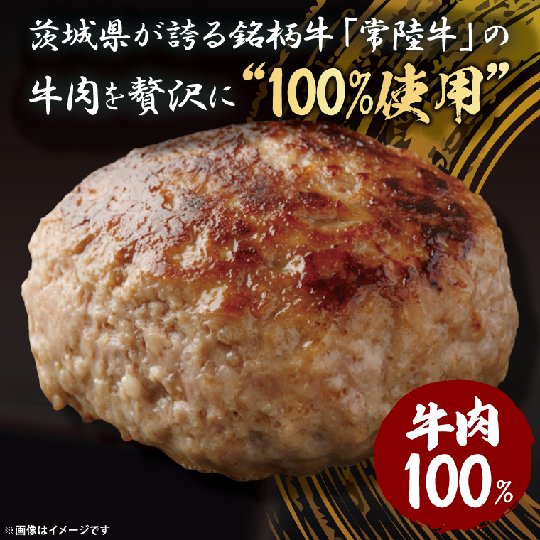 【茨城県共通返礼品】常陸牛100％ ハンバーグ 120g×6個｜ブランド牛 銘柄牛 和牛 黒毛和牛 国産 A5・A4ランク 等級 お肉 牛肉 真空 小分け 個包装 茨城県 大子町（DD020）
