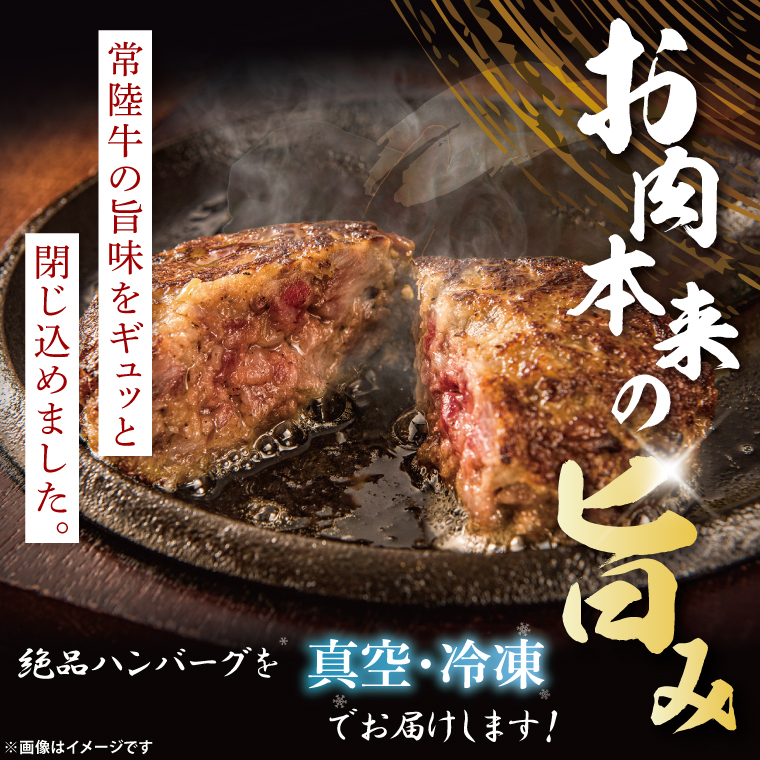 【茨城県共通返礼品】常陸牛100％ ハンバーグ 120g×6個｜ブランド牛 銘柄牛 和牛 黒毛和牛 国産 A5・A4ランク 等級 お肉 牛肉 真空 小分け 個包装 茨城県 大子町（DD020）
