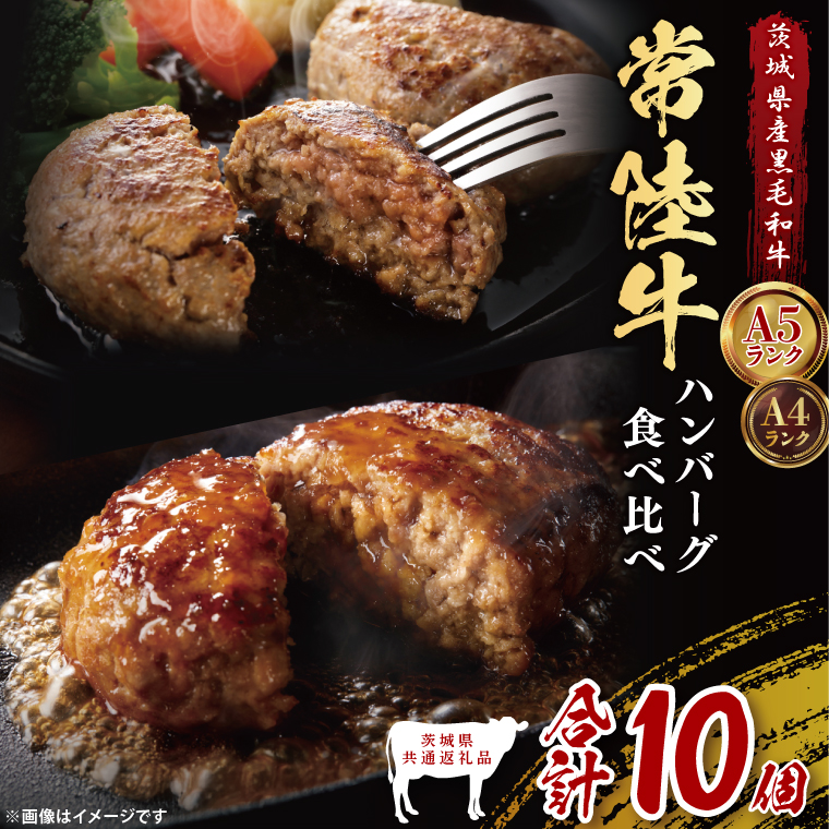 【茨城県共通返礼品】常陸牛100％ vs 常陸牛入りハンバーグの食べ比べセット （計10個入り）常陸牛使用｜ブランド牛 銘柄牛 和牛 黒毛和牛 国産 A5・A4ランク 等級 お肉 牛肉 真空 小分け 個包装 茨城県 大子町（DD021）