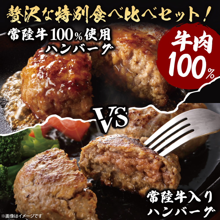 【茨城県共通返礼品】常陸牛100％ vs 常陸牛入りハンバーグの食べ比べセット （計10個入り）常陸牛使用｜ブランド牛 銘柄牛 和牛 黒毛和牛 国産 A5・A4ランク 等級 お肉 牛肉 真空 小分け 個包装 茨城県 大子町（DD021）
