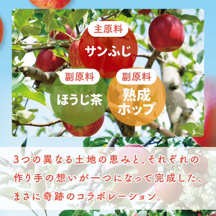 【しいなりんご園】奥久慈りんごのオリジナルハードサイダー「FRESNO」350ml×6本セット｜茨城県 大子町 林檎 炭酸 お酒 発泡酒 アルコール クラフト ビール ハードドライ 缶 贈答 ギフト（CI003）