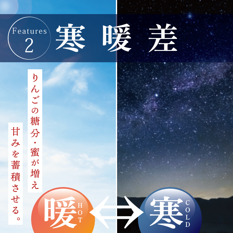 【しいなりんご園】奥久慈りんごのオリジナルハードサイダー「FRESNO」350ml×2本セット｜茨城県 大子町 林檎 炭酸 お酒 発泡酒 アルコール クラフト ビール ハードドライ 缶 贈答 ギフト（CI004）