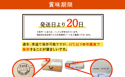 卵 霧島山麓育ち こだわり卵 康卵 計 20個（18個 + 割れ保証 2個）たまご 玉子 卵焼き 玉子焼き 生卵 鶏卵 国産 宮崎県産 送料無料
