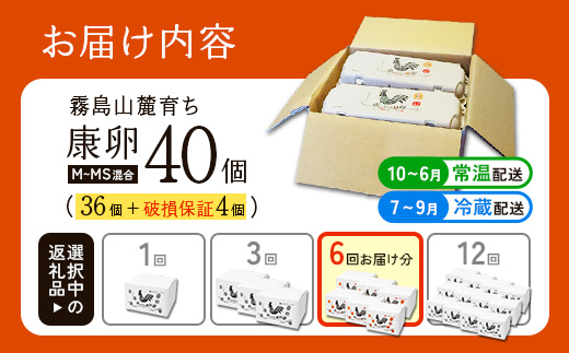 【ふるさと納税】卵【6回 定期便】霧島山麓育ち こだわり卵 康卵 計40個（36個 + 割れ保証4個） 6回 計 240個(216個 + 割れ保証 24個)たまご 玉子 卵焼き 玉子焼き たまご焼き 生卵 鶏卵 たまごかけごはん 国産 九州産 宮崎県産 送料無料