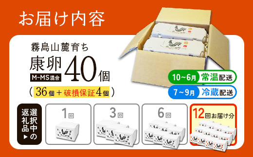 卵【12回 定期便】霧島山麓育ち こだわり卵 康卵 計40個（36個 + 割れ保証4個）12回 計 480個(432個 + 割れ保証 48個)たまご 玉子 卵焼き 玉子焼き たまご焼き 生卵 鶏卵 たまごかけごはん 国産 九州産 宮崎県産 送料無料